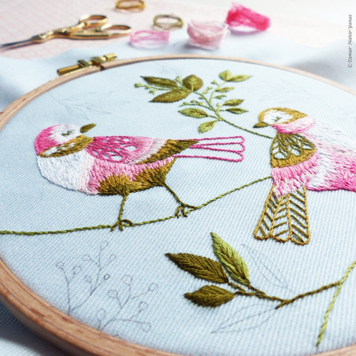 Embroidery Kit Birds Pattern Embroidery Kit For Beginner Diy - Temu